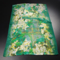 Chiffon Silk Scarf for Lady